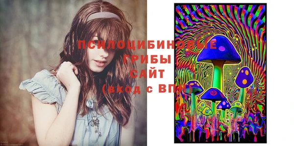 Альфа ПВП Абаза