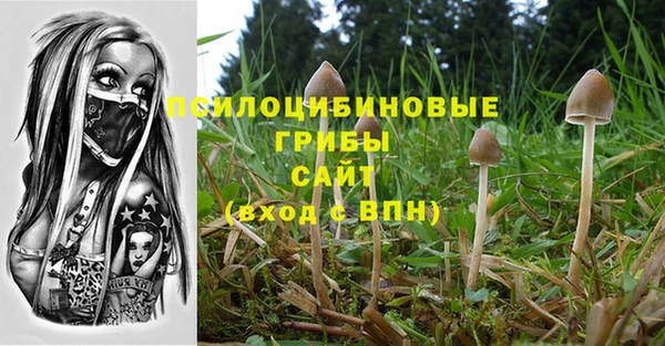 Альфа ПВП Абаза