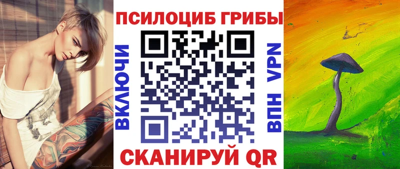 Галлюциногенные грибы Cubensis  МЕГА   Усть-Кут 